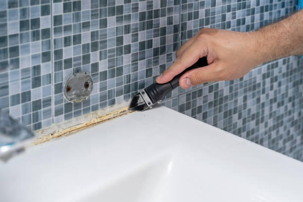 Best Attic Mold Removal  in Bnchard, LA